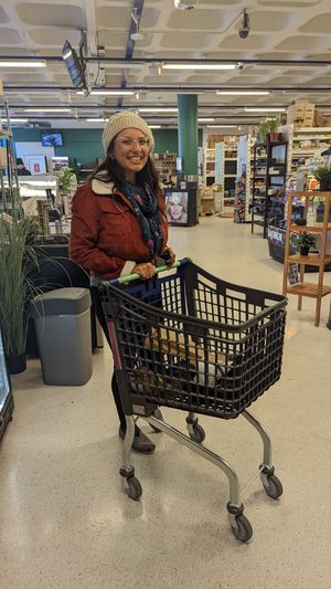  at Vegan Budin in Reykjavik