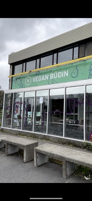   at Vegan Budin in Reykjavik