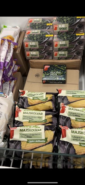   at Vegan Budin in Reykjavik