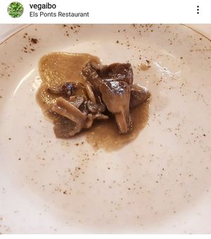 Mushrooms. Bolets at El Ponts in Alcoi