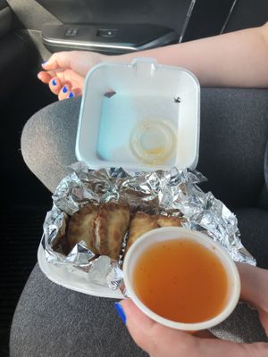 Vegan Wontons at Lucky Thai in Murfreesboro