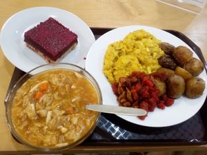 Thick kale soup
Tofu brans with baked potatoes and vegetables
Desert
(all vegan) at Oaza Zdravi in Ceska Trebova