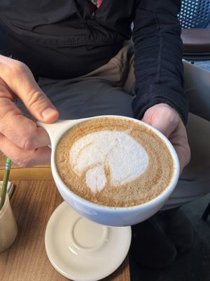   at Dear Diary Coffeehouse in Austin