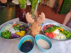 Teriyaki tofu and avocado poke bowls. Currant & rhubarb homemade sodas. at Holy Nosh Deli in Kassel