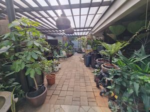 Go Native at Go Native - Sadhashivnagar in Bangalore