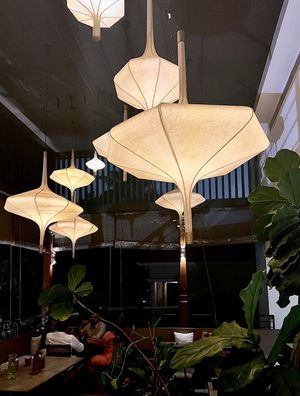 Go Native Sadashivnagar - ambience in the rooftop patio ✨   at Go Native - Sadhashivnagar in Bangalore