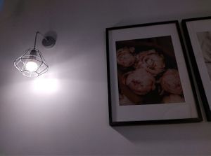  at Veg Harmony in Minsk