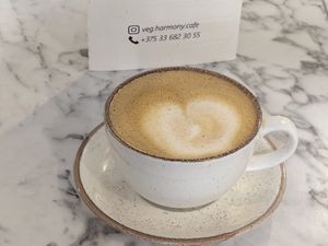  at Veg Harmony in Minsk