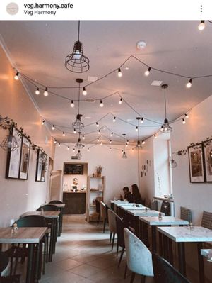 Interior at Veg Harmony in Minsk