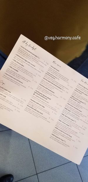 Menu (English) at Veg Harmony in Minsk