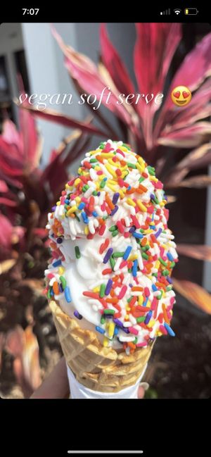 amazing  at Brendy's Yogurt & Ice Cream in Boca Raton
