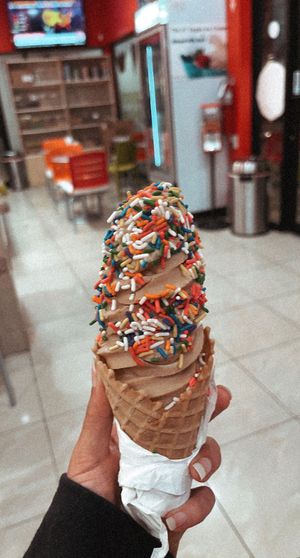 Vegan Salted Caramel 🌼🙃 at Brendy's Yogurt & Ice Cream in Boca Raton