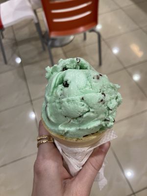 Mint Chocolate Chip vegan ice cream  at Brendy's Yogurt & Ice Cream in Boca Raton