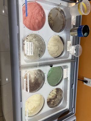 Options the night we were there   at Brendy's Yogurt & Ice Cream in Boca Raton