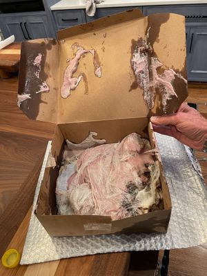 Pie on arrival. at Culiraw in New York City