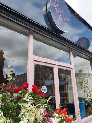 11 Wellfield Road at Blossom in Cardiff