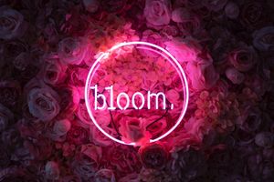  Cafe Blossom where friendships Bloom .... at Blossom in Cardiff