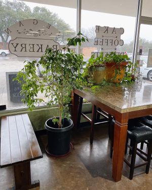   at Planted Bakery in Fort Worth