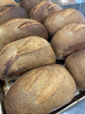 Fresh Sourdough loaves at Planted Bakery in Fort Worth