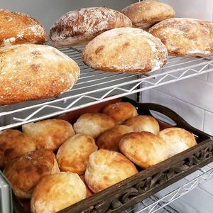 Fresh Sourdough Boules baked daily! at Planted Bakery in Fort Worth