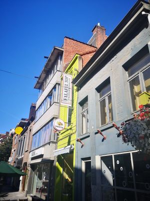 Vegan under there name :o) at Falafel Top in Leuven