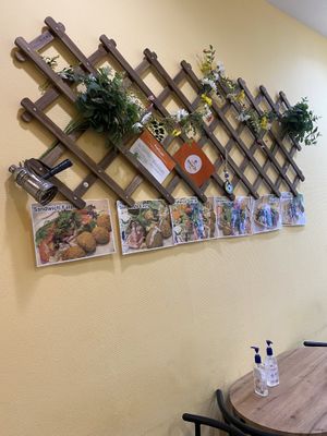   at Falafel Top in Leuven