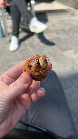  at Falafel Top in Leuven