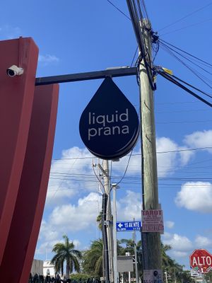   at Liquid Prana in Playa Del Carmen