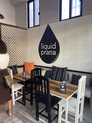   at Liquid Prana in Playa Del Carmen