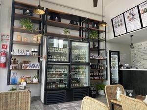   at Liquid Prana in Playa Del Carmen