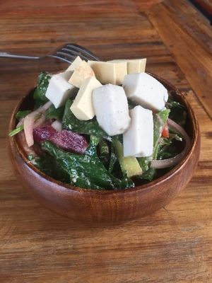  at Benny's Vegan in Battambang