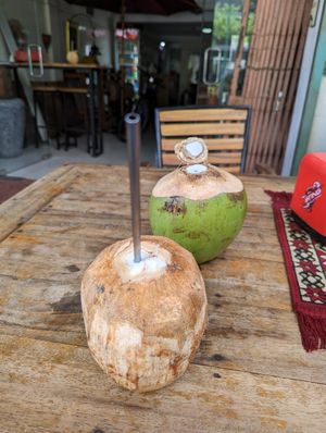 Coconuts 🥥 at Benny's Vegan in Battambang