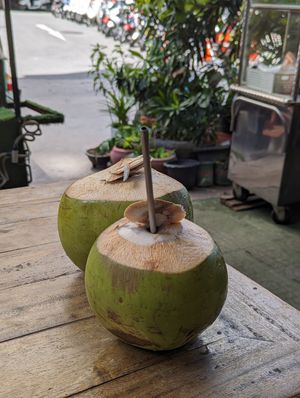 Two coconuts 🥥 🥥 at Benny's Vegan in Battambang