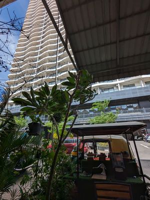 View from Benny's Vegan at Benny's Vegan in Battambang