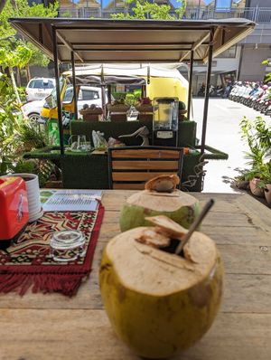 Coconuts 🥥 🥥 at Benny's Vegan in Battambang