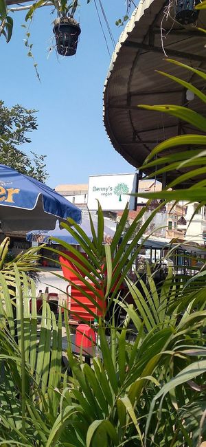   at Benny's Vegan in Battambang