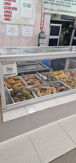 Food at El Jardin Vegetariano in Panama City