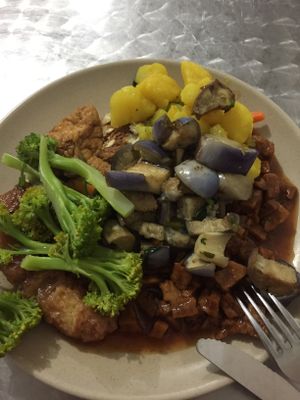 Cold food but had potential  at El Jardin Vegetariano in Panama City