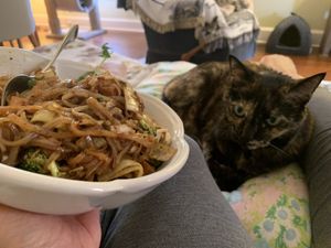 Darwin is happy to spread the word about this lovely pad thai dish being enjoyed at home!  at Happy Thai in Bloomington