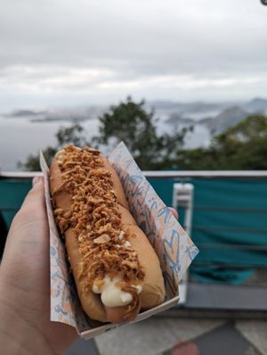 Hot Dog with fried Onions and mayo at Geneal Bondinho Pão de Açúcar in Rio De Janeiro