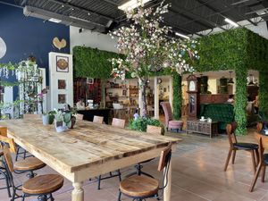   at Mystic Coffee in Hollywood