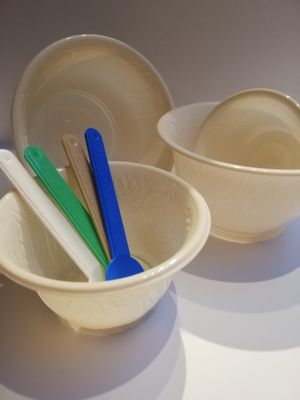 biological, compostable cups and spoons at IceLab NiceCream Creations in Antwerpen