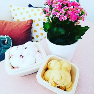 biological and compostable half litre and litre boxes at IceLab NiceCream Creations in Antwerpen