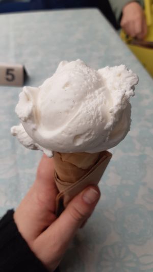 Vanilla at IceLab NiceCream Creations in Antwerpen