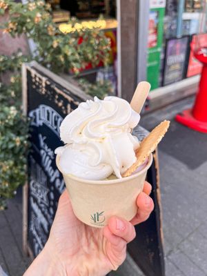   at IceLab NiceCream Creations in Antwerpen