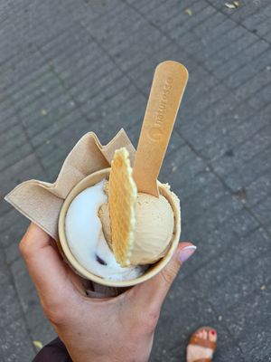  at IceLab NiceCream Creations in Antwerpen