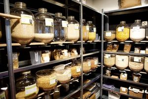 Jars to fill your own jar or bags to minimise waste at De Nieuwe Graanschuur in Amersfoort