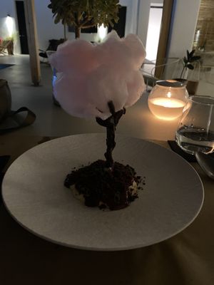 Sakura tree   at Koukoumi Hotel in Mykonos