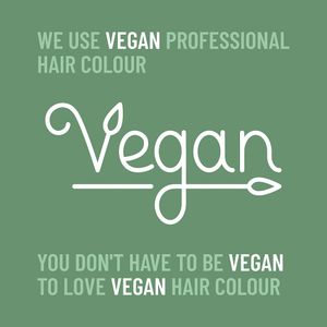 Vegan Hair Colour at Ultimate Lash And Brow Pattaya in Pattaya