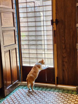  at Vegan Bowl 一碗食舖 - Yī Wǎn Shí Pù in Puli
